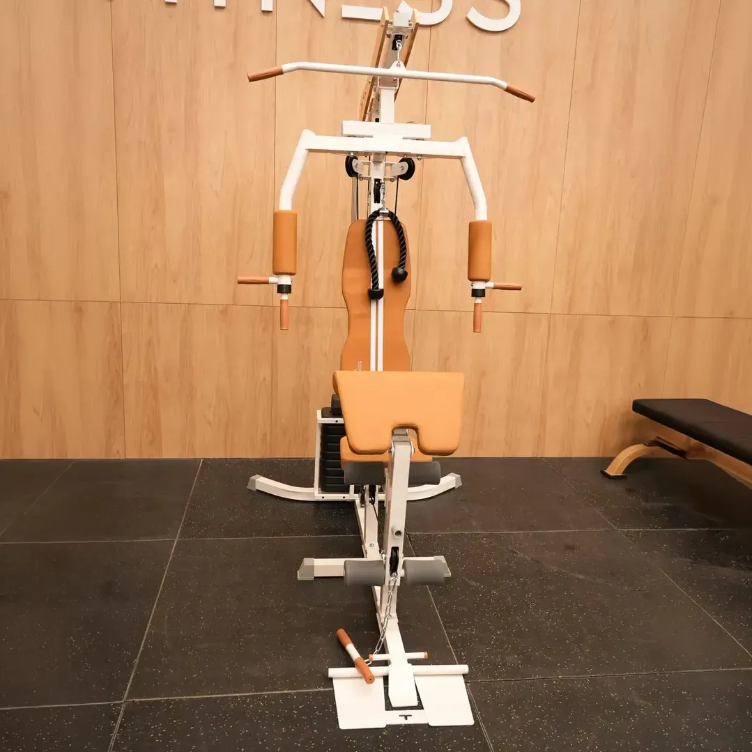 Multigimnasio vintage